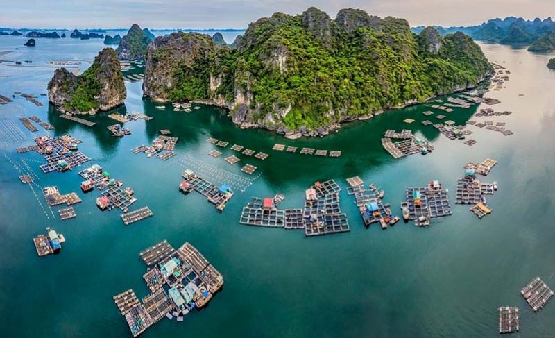 Village flottant de pêcheurs de Vung Vieng