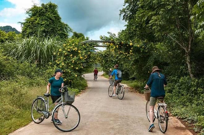 Balade à vélo dans le parc national de Cat Ba